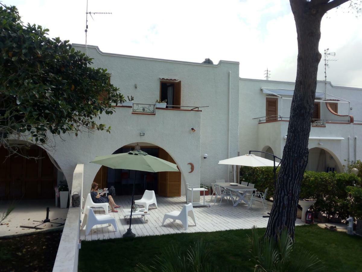 Villa A Diamante Sulla Spiaggia Belvedere Marittimo Exteriör bild